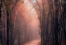 [乒乓球]WTT重庆冠军赛：蒯曼VS肖瑶茜 集锦.