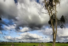 万博体育：[CBA]上海主场大胜广东 终结对手九连胜.