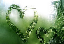 [乒乓球]林诗栋晋级新加坡大满贯第二轮.